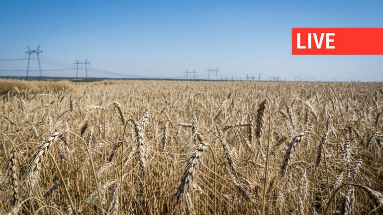 Direct - Guerre en Ukraine : les exportations de céréales à nouveau 