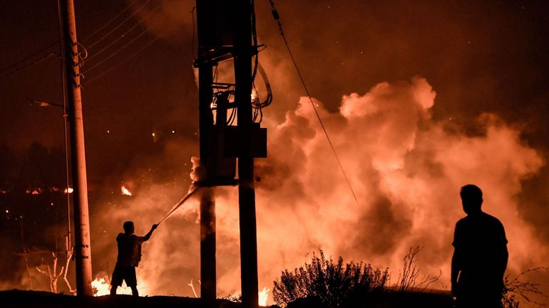 Incendies en Grèce : les pompiers espèrent maîtriser un feu important près d'Athènes