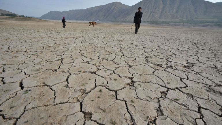 À la veille de la COP29, les pays font le point sur l'accord de Paris : quelles étaient leurs obligations ?