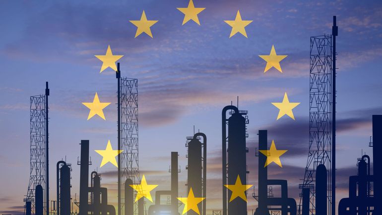 L'UE lance un premier appel aux achats communs de gaz pour les entreprises volontaires