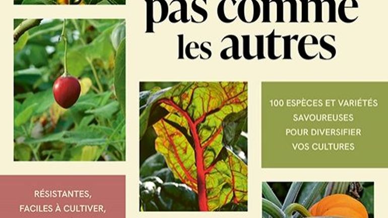 CONCOURS : remportez le livre "Des légumes pas comme les autres"