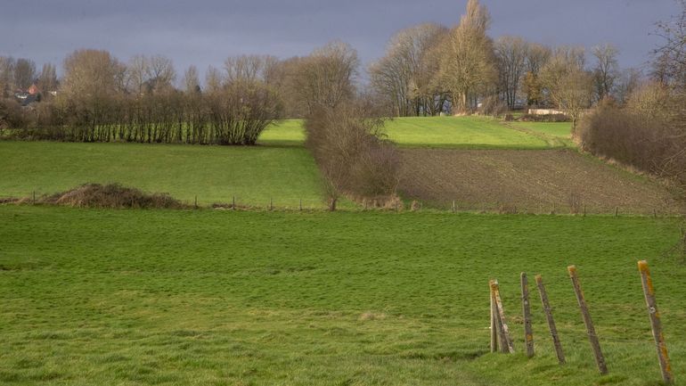 La Wallonie compte dix-neuf nouvelles réserves naturelles