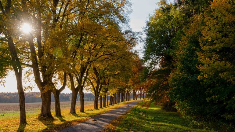 Climat : un record de température de plus, le 28 octobre le plus chaud depuis 1833