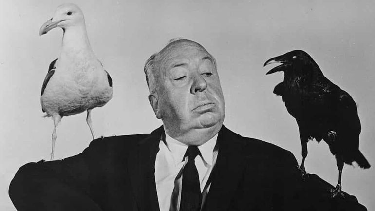 Les oiseaux d’Hitchcock, 60 ans qu’ils piaffent d’horreur !