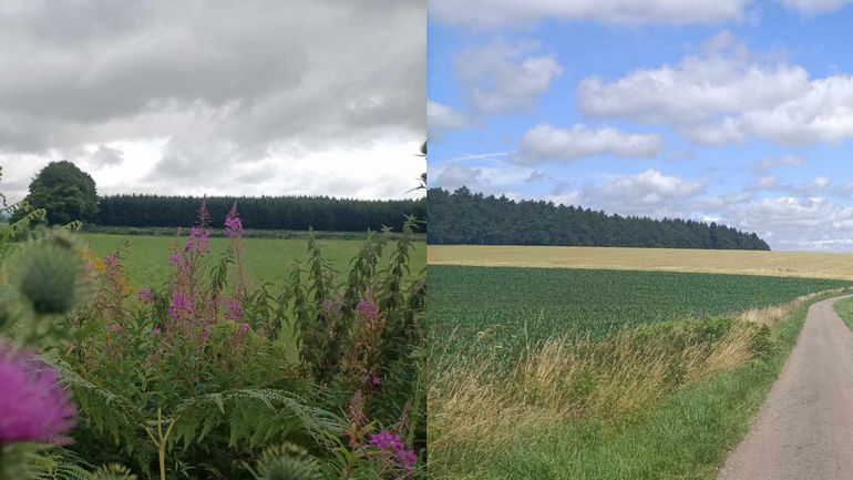 Météo en Belgique : un week-end en deux temps