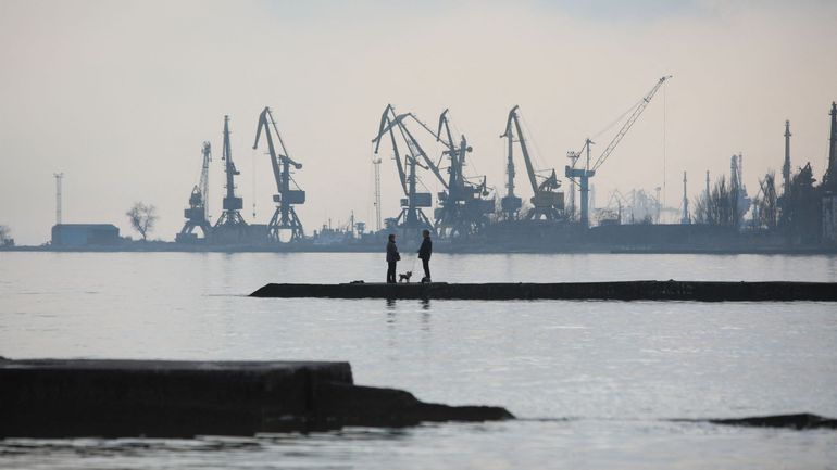 Guerre en Ukraine : des navires transportant des céréales ont disparu d'un port ukrainien