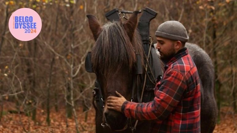 Belgodyssée 2024 : Antoine, débardeur au cheval, un métier ancestral, une solution d'avenir