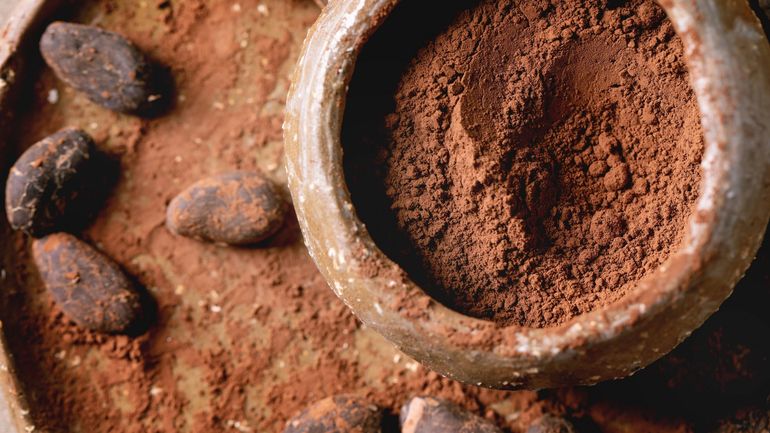 Les pouvoirs du cacao sur notre bien-être corporel