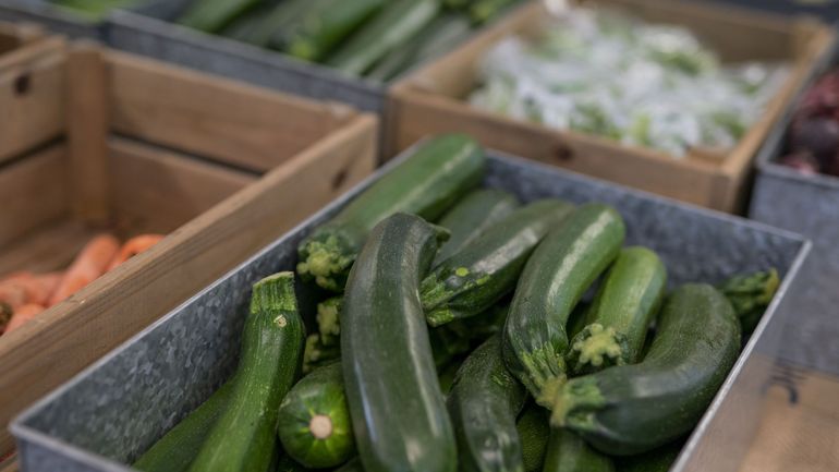 Des courgettes bio rappelées pour cause de pesticide : comment cela est-il arrivé ?