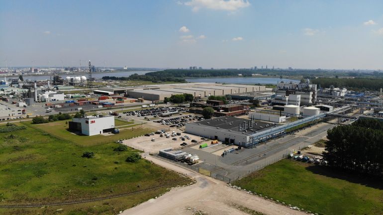 Pollution chimique autour de l'ancienne usine 3M à Zwijndrecht : la consommation d'oeufs et de légumes déconseillée