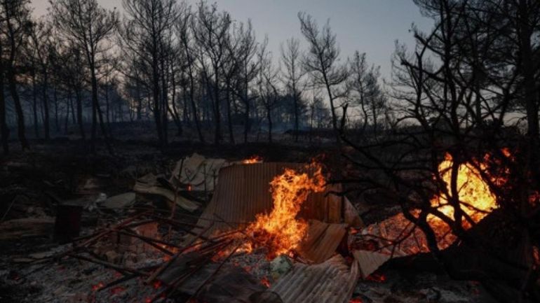 Grèce : évacuations des localités balnéaires près d'Athènes en raison d'un feu de forêt