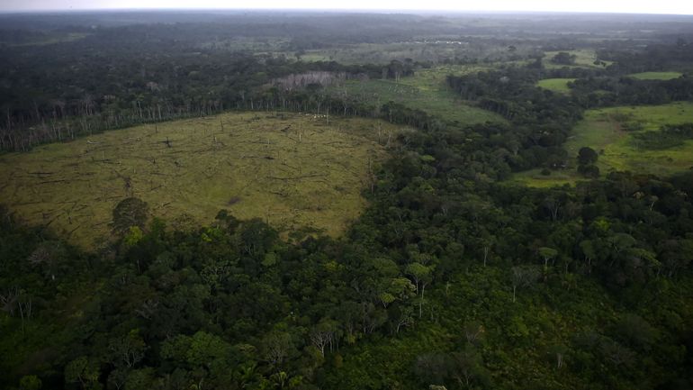 La Colombie connaît une hausse de 8% de sa déforestation en 2020, une surface égale à celle de Bogota
