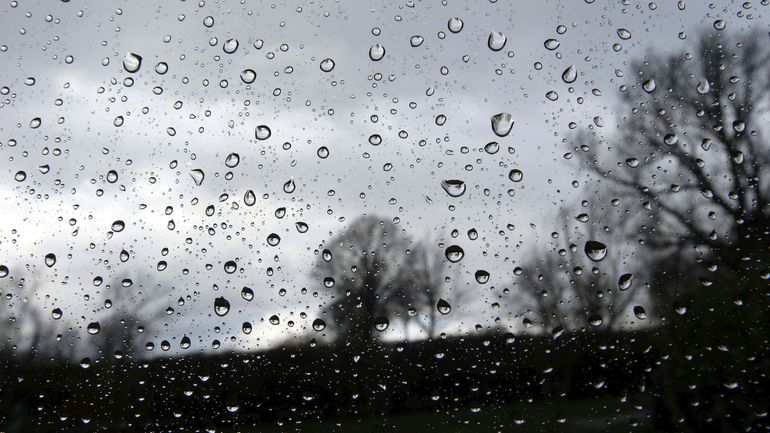 Météo en Belgique : grisaille, pluie faible et douceur ce lundi matin, avant le retour d'éclaircies