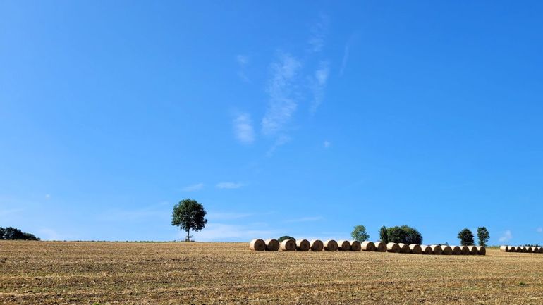 Météo en Belgique : l'été se poursuit avec un week-end ensoleillé et chaud