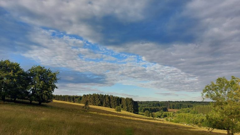 Météo en Belgique : temps plus lumineux ce lundi matin que cet après-midi, avec des températures en légère hausse