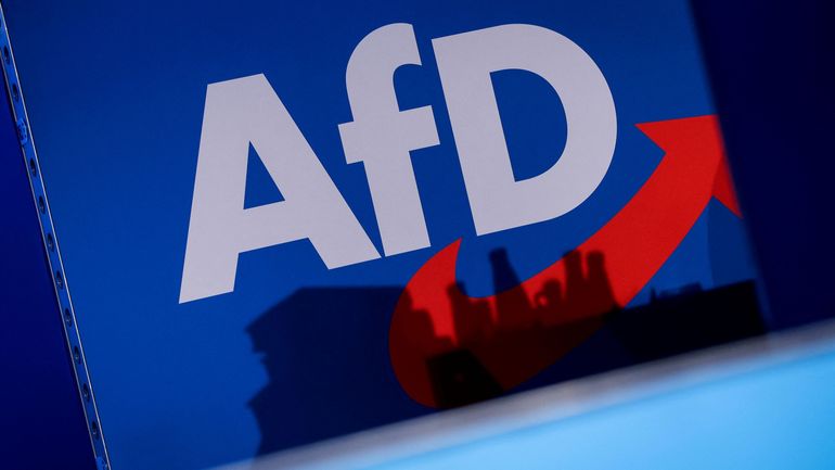 Allemagne : le parti AfD porte plainte après avoir été classé 