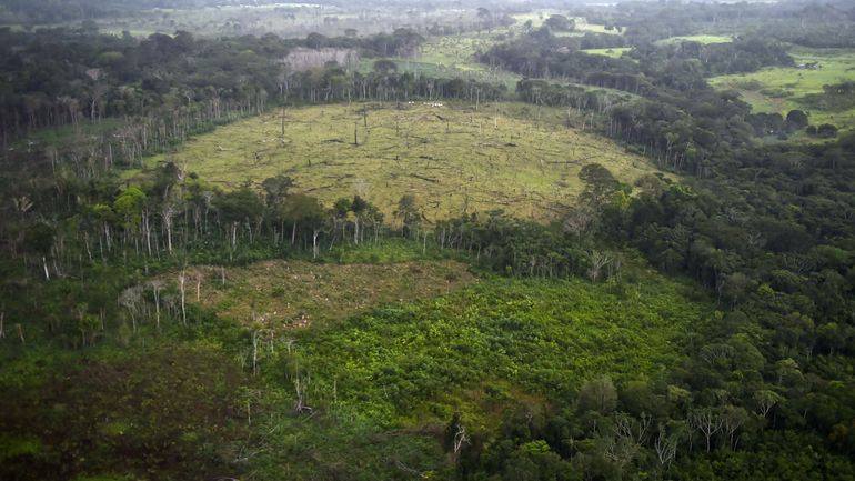 La NASA met au point un système d'alerte sur le déboisement des forêts tropicales