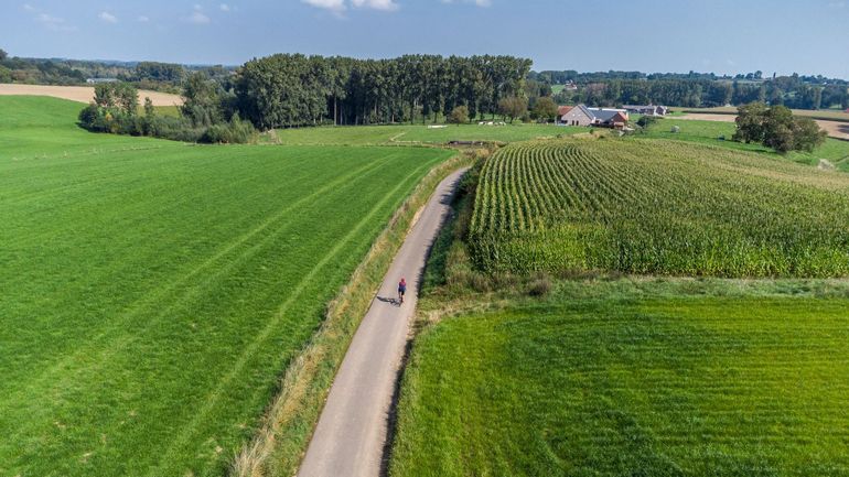 Décret azote en Flandre : des associations environnementales réclament sa révision suite à des données obsolètes