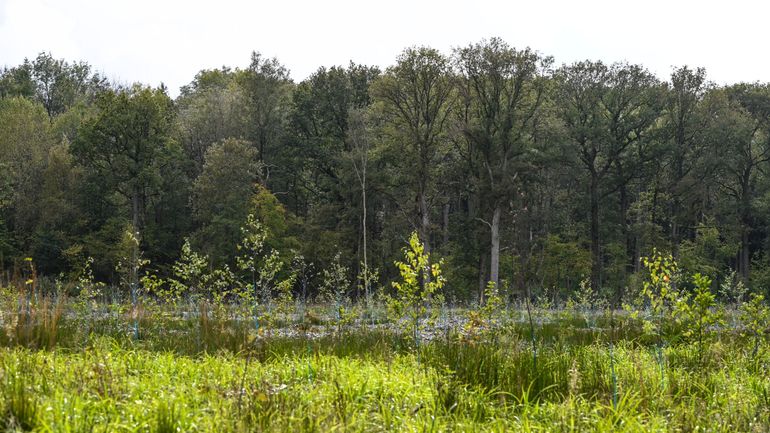 La Wallonie débloque cinq millions d'euros pour valoriser quatre espaces naturels remarquables