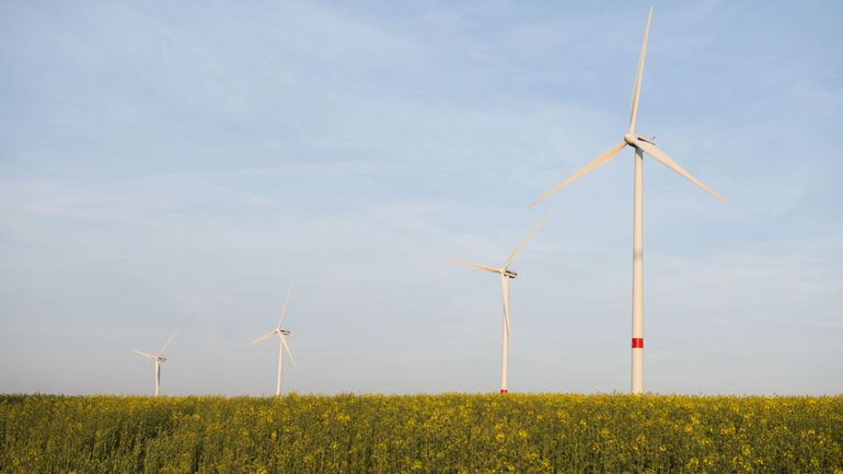 Le mois de juillet 2023 a connu un pic de production d'énergie éolienne en Belgique