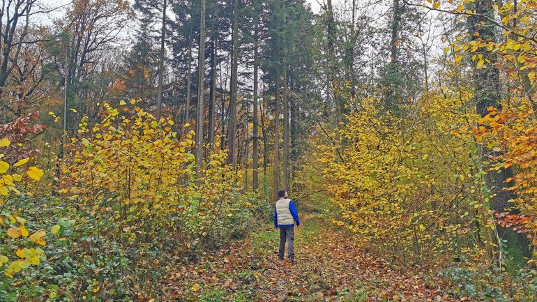 Les 4 marches fédérales organisées en Wallonie ce week-end