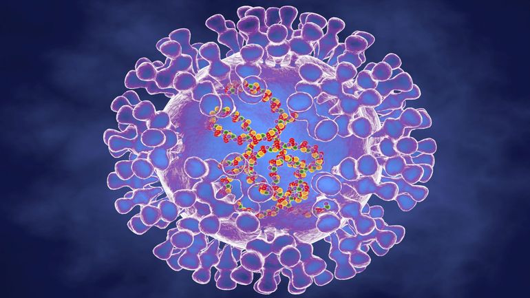67 cas de variole du singe en Europe, dans 9 Etats : l'ECDC publie une première évaluation des risques
