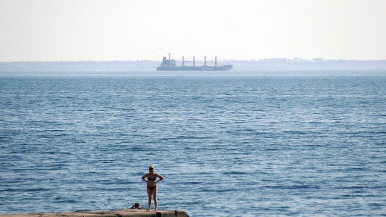 Guerre en Ukraine : Kiev annonce que deux cargos ont quitté un port du sud et naviguent en mer Noire