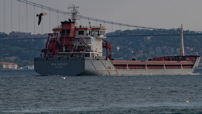 Guerre en Ukraine : le premier navire transportant du maïs d'Ukraine atteint sa destination finale
