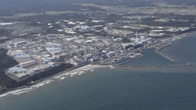Rejet en mer de l'eau de Fukushima : aucune matière radioactive n'a été retrouvée dans les poissons pêchés aux alentours