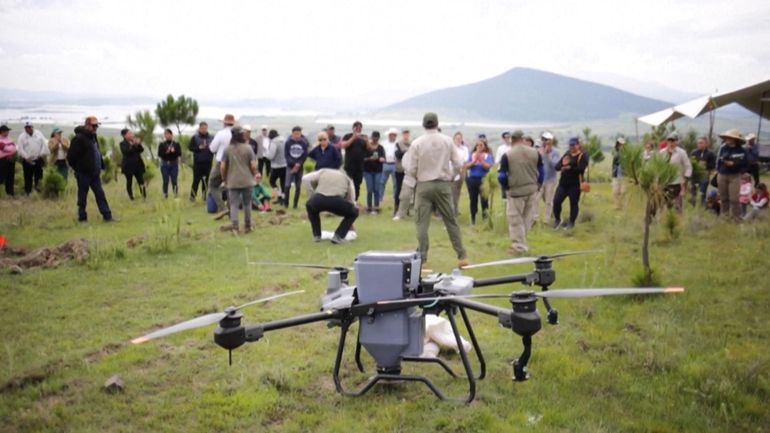 Des drones pour réensemencer des milliers d'hectares de forêts brûlées au Mexique