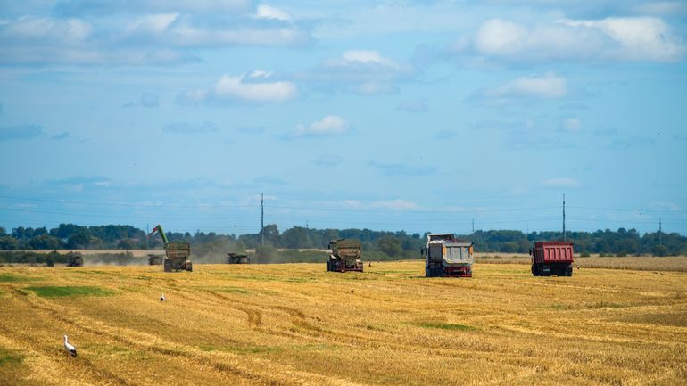 La Russie prévoit de doubler ses exportations de céréales d'ici 2023