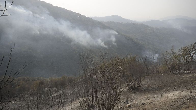 Algérie : 19 incendies sont encore actifs dans le nord algérien