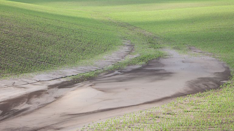 Lutte contre l'érosion des sols : que demande-t-on aux agriculteurs wallons ?