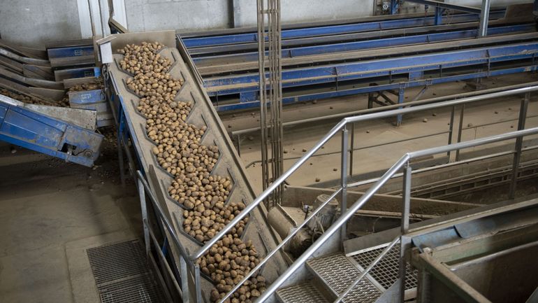 Les exportations agricoles flamandes ont atteint 56,7 milliards d'euros en 2024