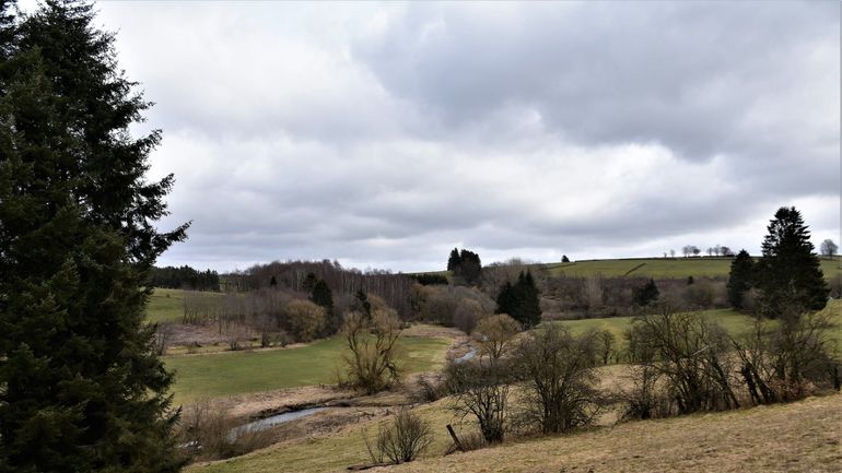 Météo en Belgique : un jeudi bien gris avec de faibles pluies éparses et de la douceur