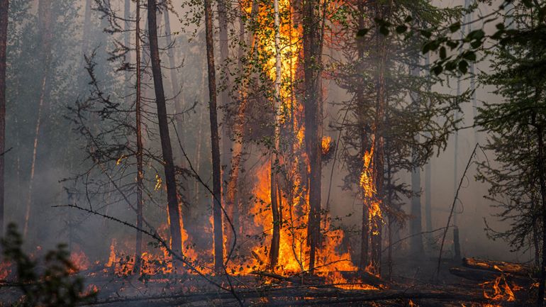 200 bâtiments en feu et au moins cinq morts dans des incendies en Sibérie