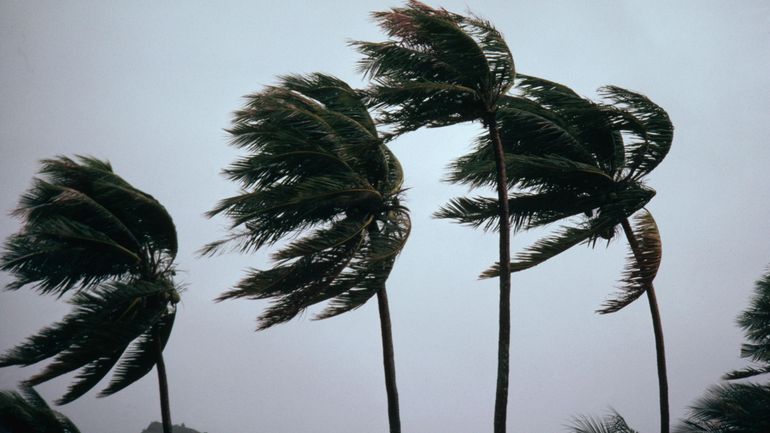 Caraïbes : une perturbation cyclonique menace de devenir une tempête tropicale
