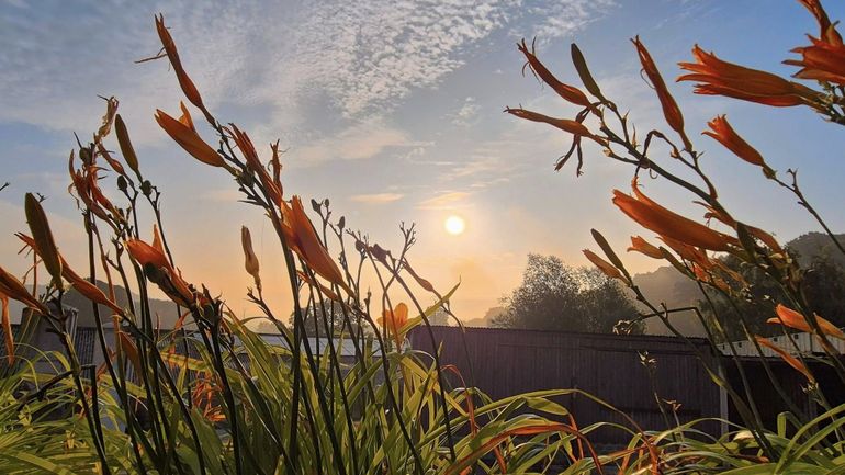 Météo en Belgique : un samedi entre nuages et éclaircies, après dissipation des brouillards locaux
