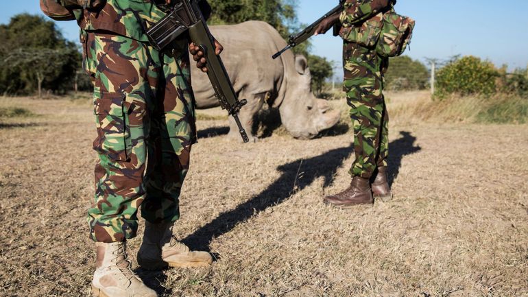 Déploiement au Kenya de militaires dans une zone touchée par la sécheresse et la violence