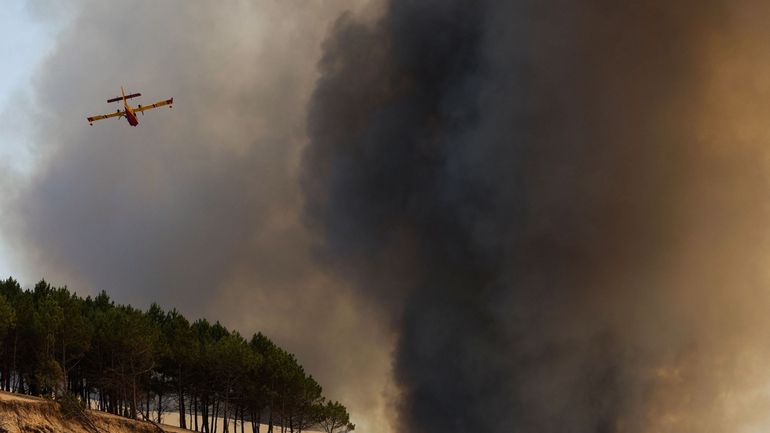 Incendies en Europe : l'incendie de La Teste-de-Buch, en France, déclaré 