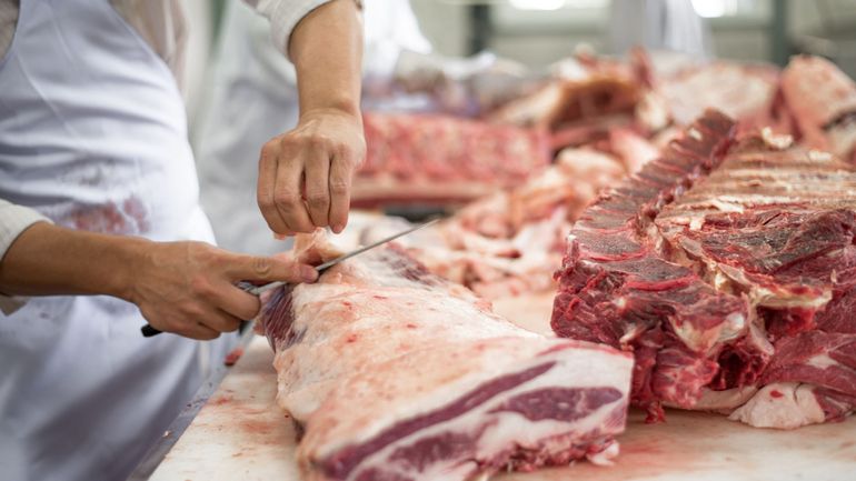 Plus d'un million de tonnes de viandes porcine et bovine exportées dans le monde en 2021