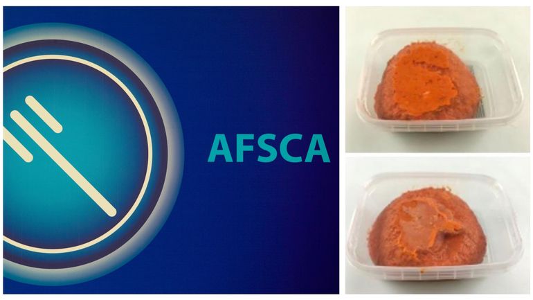 Conso : rappel d'américain préparé de la marque Norenca pour présence possible de salmonelle (Afsca)