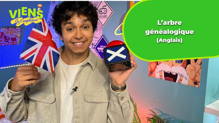 Quels sont les éléments d'un arbre généalogique en anglais ? Réponse dans "Viens, je t'explique"