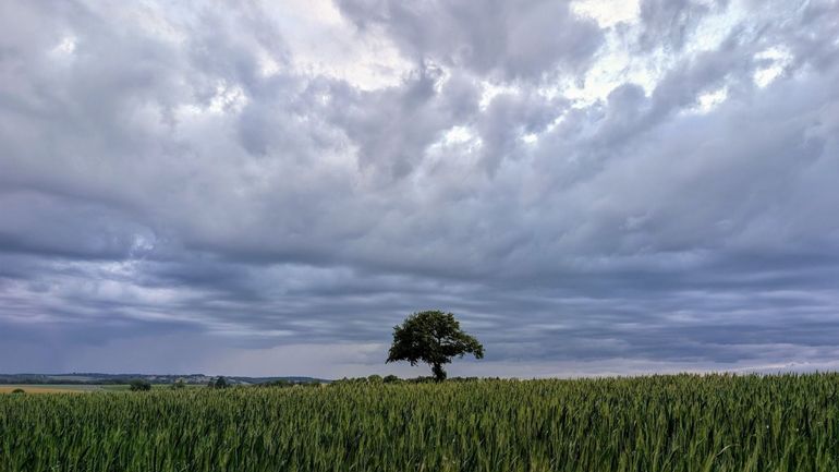 Météo en Belgique : pluie, vent et fraîcheur au menu ce samedi
