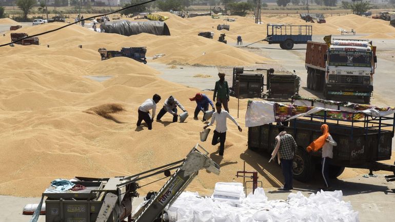 Face à la pénurie causée par la guerre en Ukraine, l'Inde augmente ses exportations de blé