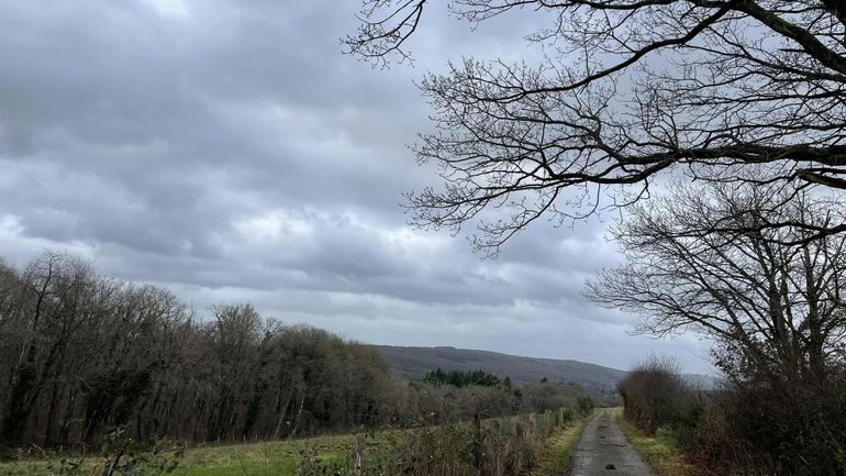 Météo en Belgique : beaucoup de vent, pas mal de pluies ce samedi