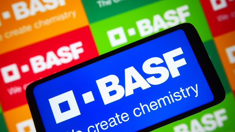 Guerre en Ukraine et énergie : le patron de BASF opposé à un embargo sur le gaz russe
