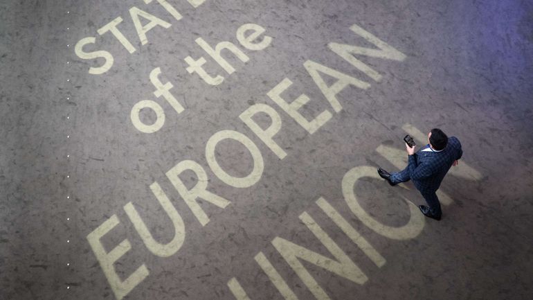 Les coulisses de l'Europe : bagarre dans l'hémicycle européen
