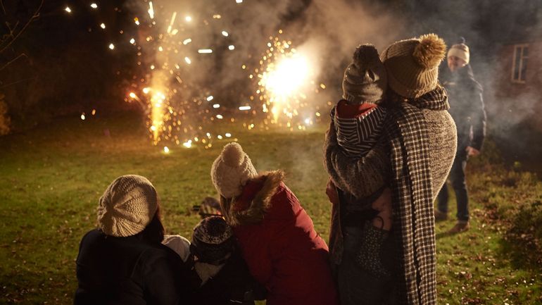 Nouvel An, animaux et feux d'artifice : quelles précautions prendre ?