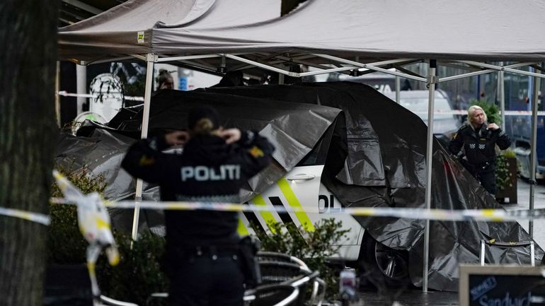 Norvège: la police abat un homme armé d'un couteau qui attaquait une patrouille